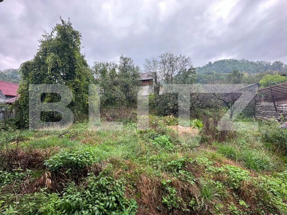 Casa de vânzare 7 camere Nepos - 206439CV | BLITZ Bistriţa | Poza5