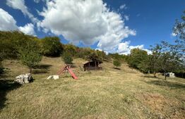 Teren intravilan, 2.700 mp, zona Viisoara