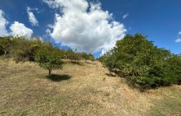 Teren intravilan, 2.700 mp, zona Viisoara