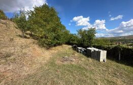 Teren intravilan, 2.700 mp, zona Viisoara