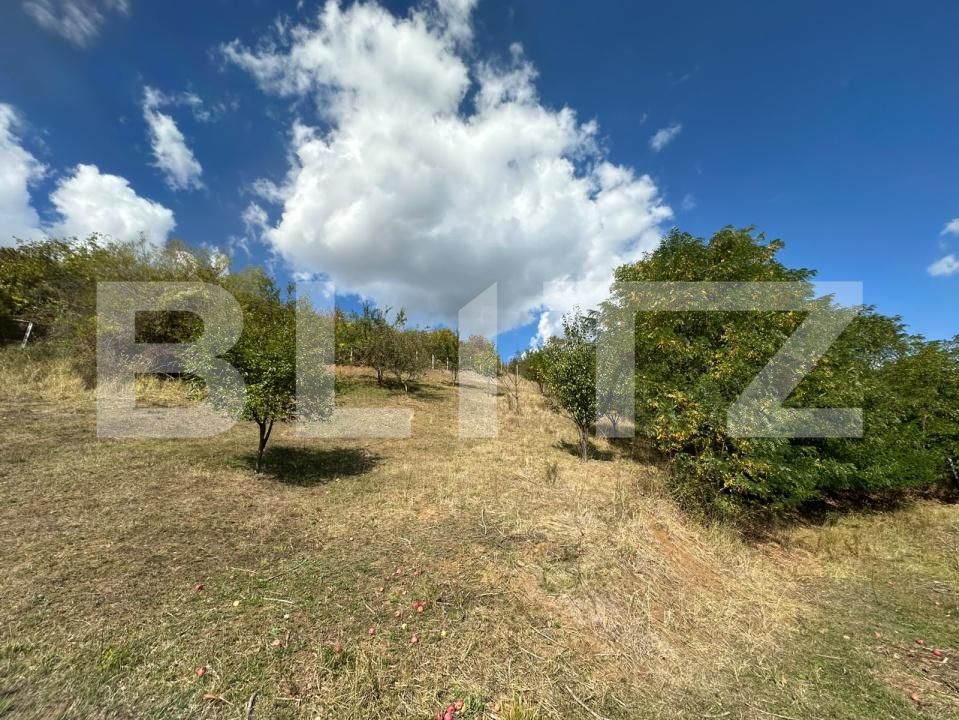 Teren de vânzare Viișoara - 206448TV | BLITZ Bistriţa | Poza3