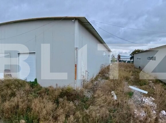 Spațiu industrial de vânzare Livezile - 206651SVI | BLITZ Bistriţa | Poza5