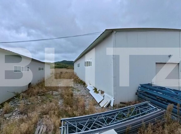 Spațiu industrial de vânzare Livezile - 206651SVI | BLITZ Bistriţa | Poza6