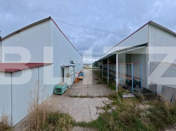 Spațiu industrial de vânzare Livezile - 206651SVI | BLITZ Bistriţa | Poza4