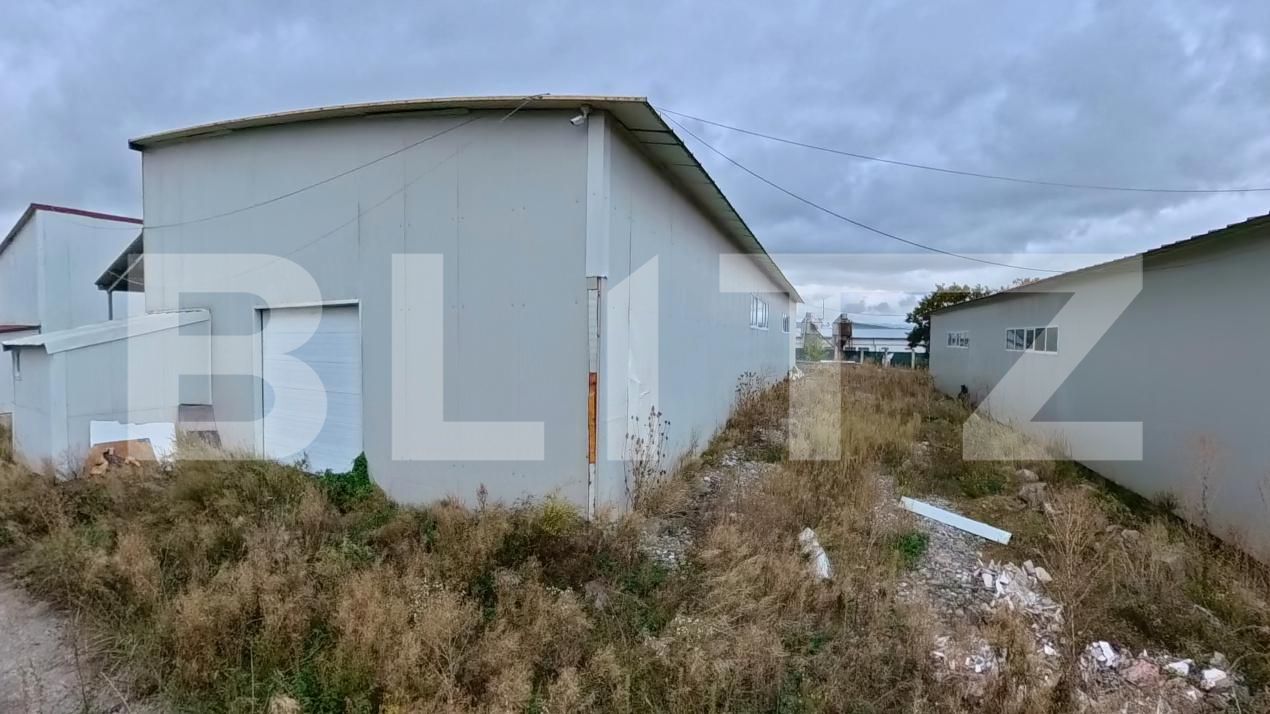 Spațiu industrial de vânzare Livezile - 206651SVI | BLITZ Bistriţa | Poza5