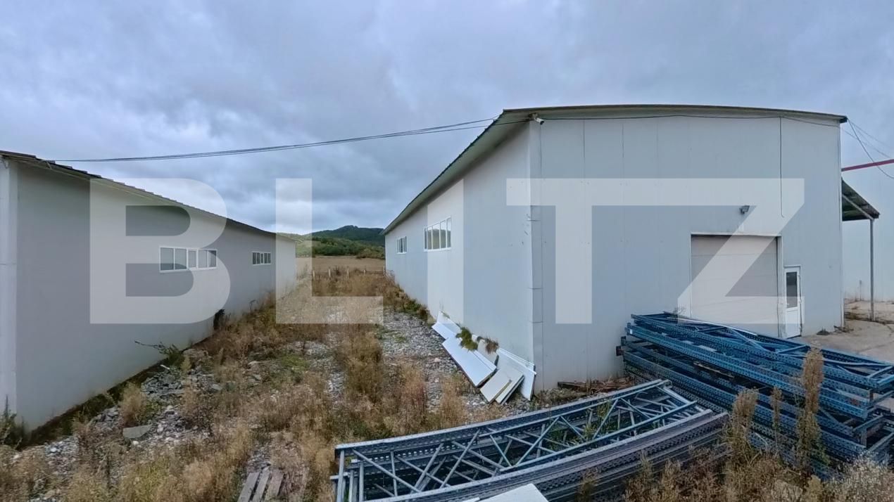 Spațiu industrial de vânzare Livezile - 206651SVI | BLITZ Bistriţa | Poza6