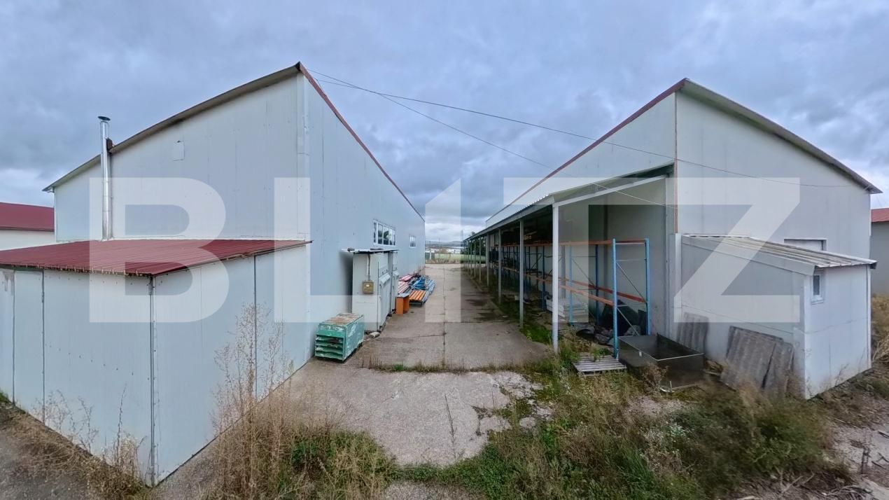 Spațiu industrial de vânzare Livezile - 206651SVI | BLITZ Bistriţa | Poza4