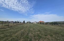 Teren extravilan, 1.913 mp, zona Livezile