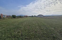 Teren extravilan, 1.913 mp, zona Livezile