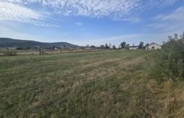 Teren extravilan, 1.913 mp, zona Livezile