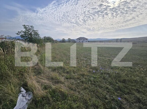 Teren de vânzare Exterior Nord - 206705TV | BLITZ Bistriţa | Poza4