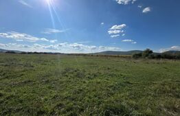 Teren extravilan de vânzare – Comuna Cetate, zonă liniștită
