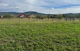 Teren intravilan, 1400 mp, strada Agronomului
