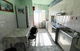 Apartament cu doua camere, pe Strada Colibitei, bloc reabilitat