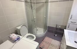 Apartament 2 camere de inchiriat