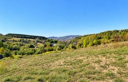 Teren intravilan, 650 mp, zona Est