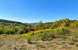 Teren intravilan, 650 mp, zona Est