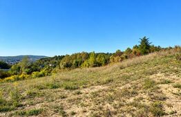 Teren intravilan, 650 mp, zona Est