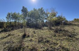 Teren extravilan, 1.159 mp, zona Nord Est 