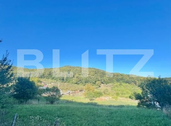 Teren de vânzare Exterior Nord - 207599TV | BLITZ Bistriţa | Poza1