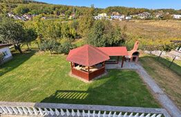 Casa de vanzare, 380 mp, zona Viișoara
