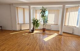 Casa de vanzare, 380 mp, zona Viișoara