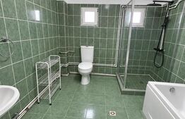 Casa de vanzare, 380 mp, zona Viișoara