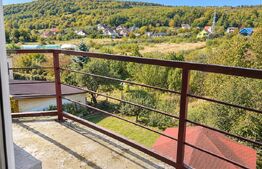 Casa de vanzare, 380 mp, zona Viișoara