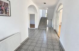 Casa de vanzare, 380 mp, zona Viișoara