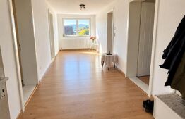 Casa de vanzare, 380 mp, zona Viișoara