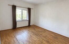 Casa de vanzare, 380 mp, zona Viișoara