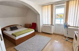 Casa de vanzare, 380 mp, zona Viișoara