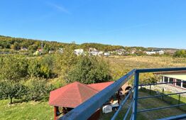 Casa de vanzare, 380 mp, zona Viișoara