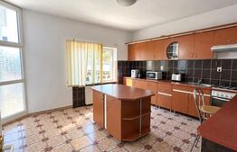 Casa de vanzare, 380 mp, zona Viișoara