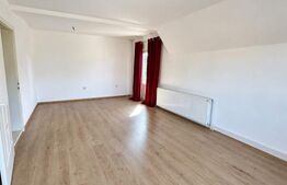 Casa de vanzare, 380 mp, zona Viișoara