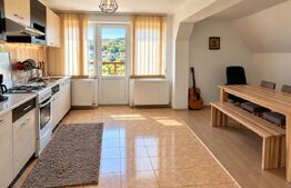 Casa de vanzare, 380 mp, zona Viișoara