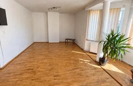 Casa de vanzare, 380 mp, zona Viișoara