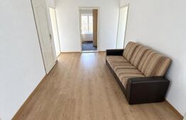 Casa de vanzare, 380 mp, zona Viișoara