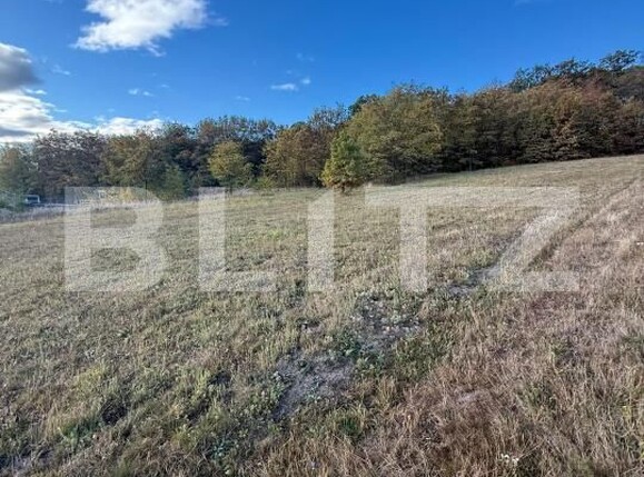 Teren de vânzare Centura - 208573TV | BLITZ Bistriţa | Poza3