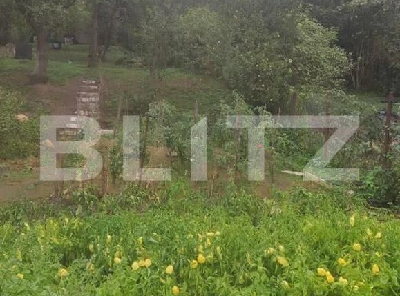 Casa de vânzare 4 camere Central - 208863CV | BLITZ Bistriţa | Poza6