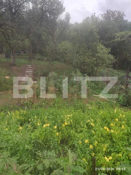 Casa de vânzare 4 camere Central - 208863CV | BLITZ Bistriţa | Poza6