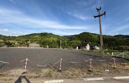 Teren intravilan, 5760 mp, zona Nord - Poiana Ilvei