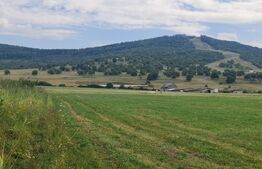 Teren extravilan de vânzare – Zona Aerodrom, 50 ari