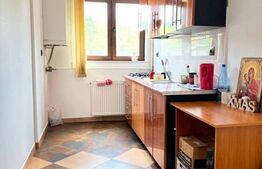 Apartament cu 1 cameră, 42 mp, zona Calea Moldovei 