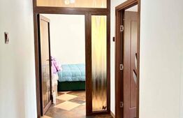 Apartament cu 1 cameră, 42 mp, zona Calea Moldovei 