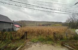 Teren intravilan, 3500 mp, zona Exterior Sud - Viile Tecii
