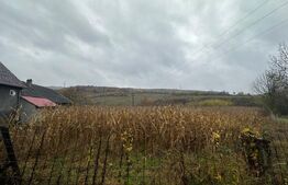 Teren intravilan, 3500 mp, zona Exterior Sud - Viile Tecii