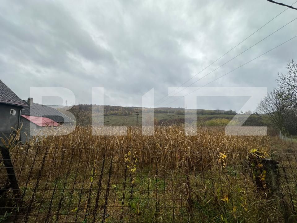 Teren de vânzare Viile Tecii - 209455TV | BLITZ Bistriţa | Poza2