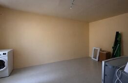 Casă de vânzare, 112 mp, zona Exterior Sud - Viile Tecii