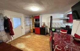 Casă de vânzare, 112 mp, zona Exterior Sud - Viile Tecii